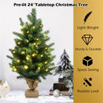 ZUN 24 Inch Christmas Tree with LED Lights 42717521