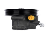 Power Steering Pump with Pulley Replacement for Ford F150 F250 Expedition Crown Victoria 20282P1 32615154