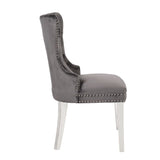 Erica 2 Piece Stainless Steel Legs Chair Finish with Velvet Fabric in Dark Gray 808857803009