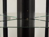 Lighted Corner Curio Cabinet - Glass Display Shelf with Tempered Glass Doors, Adjustable Shelving, W1758P300129