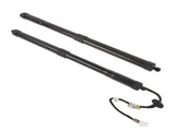 2x Rear Tailgate Lift Support Replacement for Honda Pilot 16-17 74961-TG7-315 74981-TG7-315 29404371