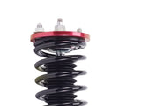 2x Rear Coilovers fit for Honda Accord 03-07 Acura TL 04-08 Shock Strut Adj. Damper 79392874