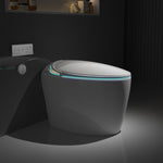 ZUN Unique Smart Toilet with Bidet Built In, Intelligent One Piece Toilet For Modern Bathroom, Auto W2826P230233