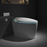 ZUN Unique Smart Toilet with Bidet Built In, Intelligent One Piece Toilet For Modern Bathroom, Auto W2826P230233