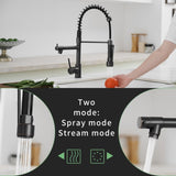 Commercial Kitchen Faucet with Pull Down Sprayer, Single Handle Single Lever Kitchen Sink Faucet W1932P155917