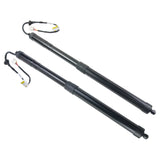 2PCS Rear Power Liftgate Tailgate Lift Support for Toyota RAV4 Prime 2019-2021 71766552