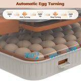 56 Egg Incubator with Automatic Turning & Humidity Control Digital Poultry Hatcher for Chicken, W2700P326297