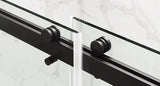 56 to 60'' W x 76'' H Frameless Shower Door, Double Sliding Shower Door with Premium 3/8'' T3210P277253