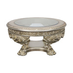 ZUN ACME Danae COFFEE TABLE Champagne & Gold Finish LV01202