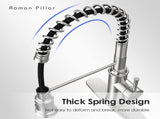 Kitchen Faucet - Spring Kitchen Sink Faucet with 3 Modes Pull Down Sprayer, Single Handle&Deck Plate 12338848