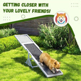 Dog Agility Ramp Pet Seesaw 96466211