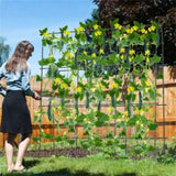 71" x 71" Garden Arched Trellis 23961450