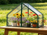 36" x 20" x 34" ortable Mini Greenhouse PE Bottom Mat, Waterproof Clear PVC Plant Grow Tent 05543549