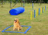 Dog agility training equipment 09269397