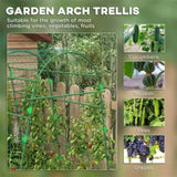 Outdoor Metal Garden Trellis with Climbing Net,57" x 66" x 81", Green 02505931