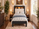 Queen Platform Bed Frame, Black Wood Look Frame with Soft Velvet , Sturdy Wood Slat Support System, W636P557221