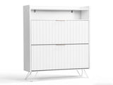 Shoe cabinet with slatted front panel and side panels, two compartments with top-opening lids, two 54294808