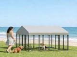 Dog Kennel Outdoor 20976984