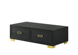 ZUN 1pc Contemporary Coffee Table Storage Drawers Black Gold Finish Metal Pull Knob Living Room Wooden B011P245404