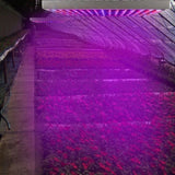 LED Grow Light Full Spectrum Hanging 225 LEDs Plant Grow Lamp Indoor Grow Light for Greenhouse 74605961