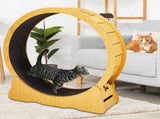 Cat Wheel Exerciser for Indoor Cats, 39.4-inch Large Cat Exercise Wheel for Running Silent, Cat 28135917