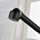 Single-Handle Pull-Out Sprayer Kitchen Faucet in Stainless Matte Black 23616223