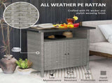 Rattan Storage Cabinet/Storage Cabinets/Lockers 85025850