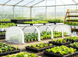 White Portable 13' L x 3' W x 2.5' H Tunnel Greenhouse Garden Grow Tent with 4 Zipper Doors, 31842948