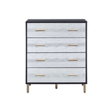 ZUN Black and Silver 4-Drawer Chest B062P209044