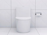 Elongated One Piece Toilet White W2826P192007
