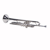 Nickelplated Drop B Adjustable Trumpet Gloves Set Silver 67559321