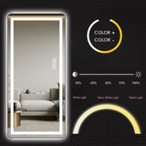 64 inch x 21 inch full-length vertical mirror with LED light, illuminated floor mirror with bracket, W2709P305306