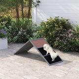 Dog Agility Ramp 37838431