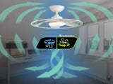 Light Pro 22 in. LED Indoor white Smart Ceiling Fan with DC Motor Unable ship on weekends, TK/TEMU 14486000