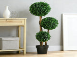 Artificial Plant/Green plants 68710276