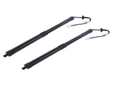 2Pcs Rear Power Hatch Lift Support Fits for INFINITI EX35 FX50 QX70 Sport Utility 3.5L 5.0L 3.7L 62355964
