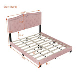 Queen Size Upholstered Bed Frame with Rivet Design, Modern Velvet Platform Bed with Tufted WF316750AAH
