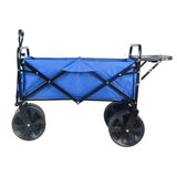 Folding Wagon Garden Shopping Beach Cart W22735630