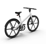 Electric bicycle 350w W2153P205896