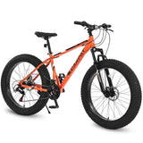 ZUN S26109 Elecony 26 Inch Fat Tire Bike Adult/Youth Full Shimano 21 Speed Mountain Bike, Dual Disc W709P156169