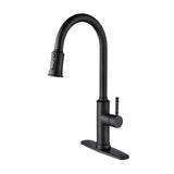 Kitchen Faucet with Pull Out Spraye W2287P319014