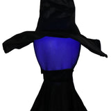 Halloween Black Witches with Change Colors 98970562