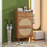 ZUN Rattan, Allen 2 door 1 drawer cabinet, shoe rack, double layer, suitable for entrance W688141533