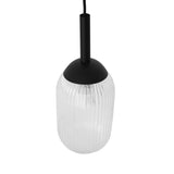 Giza Pendant Lamp - Black and Clear B183P301069