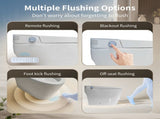 Tankless Smart Toilet With Bidet Built In, One-piece Bidet Toilet Seat, Auto Flush,Heated Seat, Warm T5879P506526
