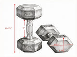 Hex Rubber Dumbbell Set No-Roll Hexagonal End Construction for Strength Training 74051487