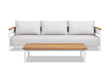 Rhodes 2pc Teak & Aluminum Outdoor Sofa and Coffee Table Set B2719P321038