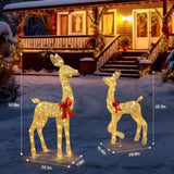 2-Piece Lighted Christmas Deer Family, Outdoor Yard Decoration Set with 210 LEDs Warm White Light, 32994196
