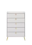 ZUN White 5-Drawer Chest with Pull Handles B062P209053