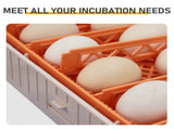56H 56-Egg Incubator 110V 85W, Fully Automatic Turner, Upgraded LED Candler, Auto Temp & Humidity 96109226